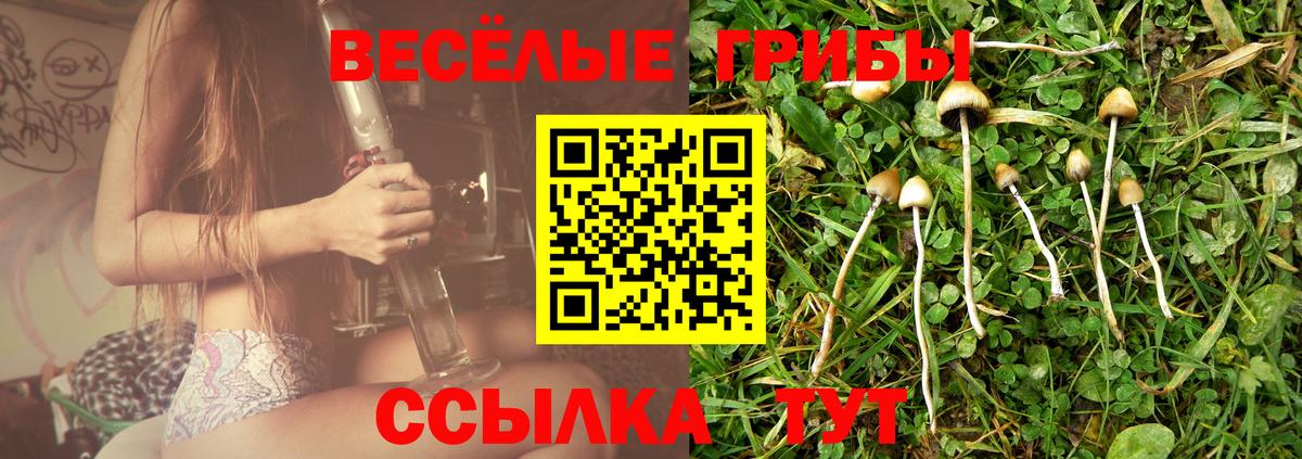 Псилоцибиновые грибы мухоморы Киселёвск
