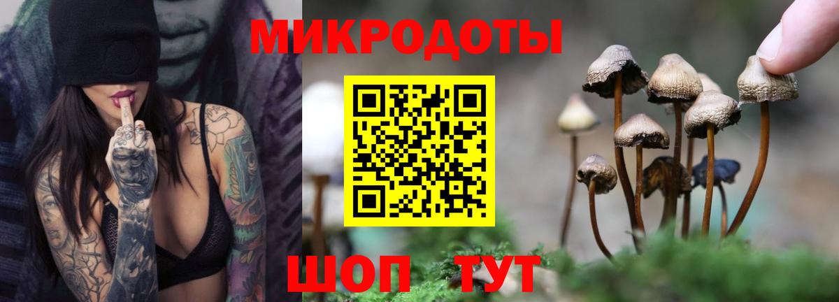 Псилоцибиновые грибы GOLDEN TEACHER  Вход с VPN  Псилоцибиновые грибы ЛСД  Киселёвск 